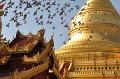 109 - Shwedagon Pagoda